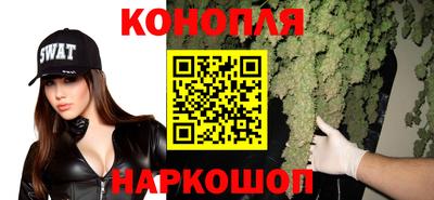 СК Моздок