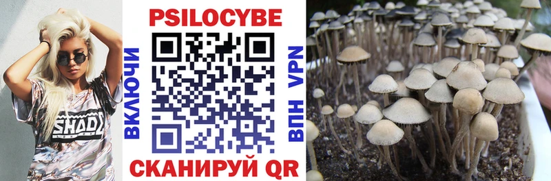 Псилоцибиновые грибы мицелий Тосно