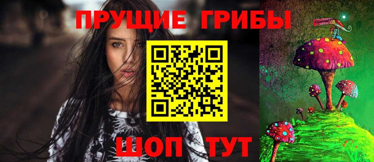 Галлюциногенные грибы GOLDEN TEACHER  Вход с VPN  Галлюциногенные грибы Magic Shrooms  Тосно 